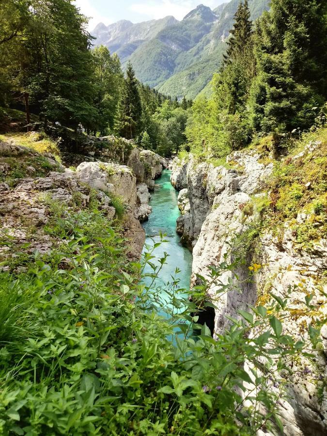 Beti Blu, Kaninska Vas Bovec Ngoại thất bức ảnh